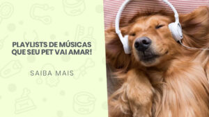 Read more about the article Playlists de músicas que seu pet vai amar!